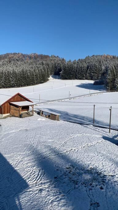 Idyllisches Ferienapartment Allgaeu Bad Grönenbach Dış mekan fotoğraf
